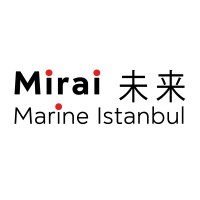 Mirai Marine Istanbul Co. Ltd. (ex-Metro Technical Ship Supply Co. Ltd.) logo - Similar company to Innomar