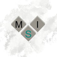 MSI Machine Services and Integration cc logo - Similar company to Sintronics Za