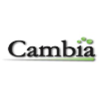 Cambia Management