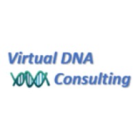 Virtual DNA Consulting logo - Similar company to Redmond Partner Group