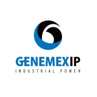 Genemex Industrial Power logo - Similar company to Taamay Trading