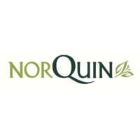NorQuin logo - Similar company to 22React