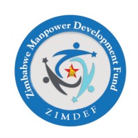 ZIMDEF logo - Similar company to Zimtech Solutions (Private) Limited
