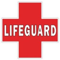 Lifeguard logo - Similar company to Lifeguard