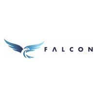 Falcon logo - Similar company to Dmi Electrical Engineering Limited