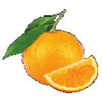 ORANGEWOOD SURGICAL CENTER logo - Similar company to Centrum Surgical Center