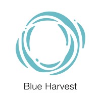 Blue Harvest logo - Similar company to Barlomar S.A.