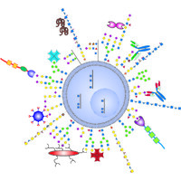 National Center for Functional Glycomics logo - Similar company to Glygen
