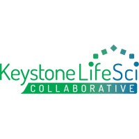 Keystone LifeSci Collaborative logo - Similar company to Pilar Muner Consulting