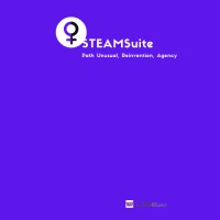 STEAM Suite logo - Similar company to Steam Data Suite