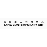 Tang Contemporary Art logo - Similar company to Para Site