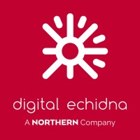 Digital Echidna logo - Similar company to Divantex
