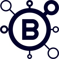 BizVision Tech logo - Similar company to Flaplab // Growth Marketing Laboratory