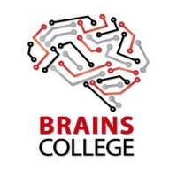 brains college logo - Similar company to Smart Sol Techno