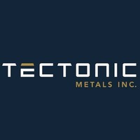 Tectonic Metals Inc. (TSX-V:TECT) logo - Similar company to Limitless Structural Llc