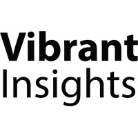 Vibrant Insights logo - Similar company to Instinct And Reason