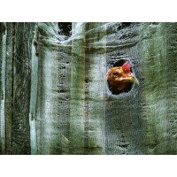 impact investing logo - Similar company to Gscm (Global Sustainable Capital Management)