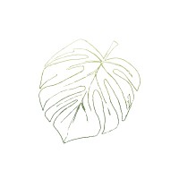 Prickle Limited