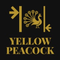 Yellow Peacock Infotech