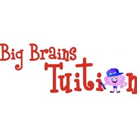 Big Brains Tuition logo - Similar company to Start It Entrepreneurship Programme