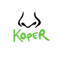 Koper logo - Similar company to Sunhelp Energy