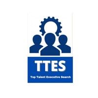 Top Talent Executive Search logo - Similar company to Emea Executives