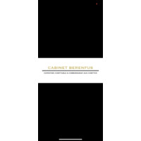 CABINET BERENFUS logo - Similar company to Nm Ex & Co