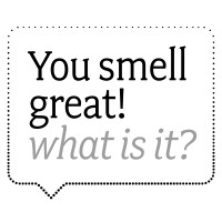 You Smell Great! What Is It? logo - Similar company to Copycat Fragrances