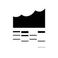Elbphilharmonie Audience Orchestra logo - Similar company to Klangmanufaktur