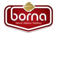 Amirkabir Borna logo - Similar company to G2Techs