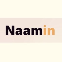 Naamin logo - Similar company to Lewituz Technologies