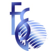 ElSafwa Group logo - Similar company to Elsafwa Group