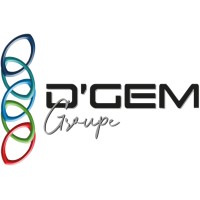 D'GEM GROUPE logo - Similar company to Pasquier Favre