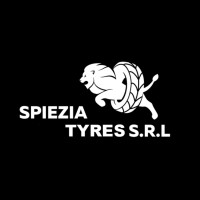 Spiezia Tyres S.r.l logo - Similar company to Conte Gomme Srl