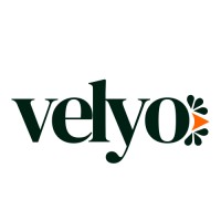 Velyo logo - Similar company to Connexya