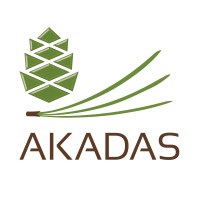 Akadas logo - Similar company to Destilat Design Studio Gmbh
