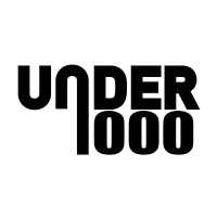 UNDER 1000 - ART Marketplace logo - Similar company to Flype Protocol