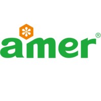 PT AMER TECHNOLOGY INDONESIA logo - Similar company to Pt Howa Indonesia