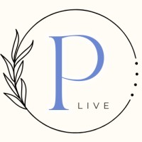 Plive Creation logo - Similar company to Varcode-Edtech