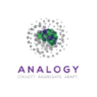 Analogy Co. logo - Similar company to Learnmonade
