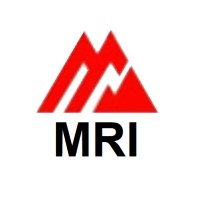 Mining Resistors International logo - Similar company to Electraspec