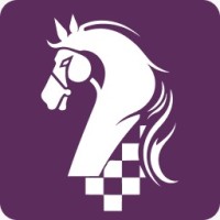 StratMachina logo - Similar company to Didask