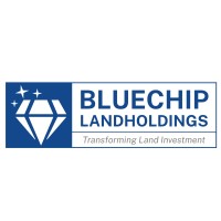 Bluechip Landholdings Pvt. Ltd. logo - Similar company to Flying Turtle