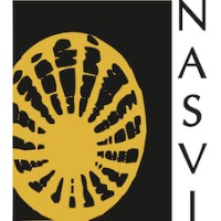 NASVI India logo - Similar company to Holotech