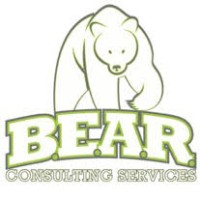 BEAR Consulting Services logo - Similar company to Element Studios Llc