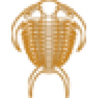 FossilEra logo - Similar company to Stem Minds