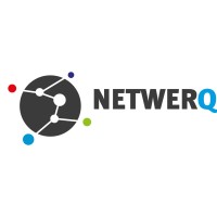 NETWERQ logo - Similar company to This Play Media