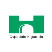Ospedale Niguarda di Milano logo - Similar company to Multicellular System Dynamics Lab