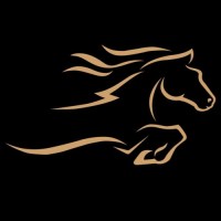 Bronco Transportation Services LLC logo - Similar company to Tpx Global Solutions