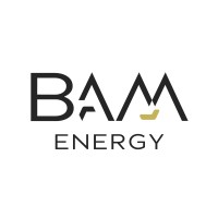 BAM-Energy logo - Similar company to Afri-Tech Mining Supplies